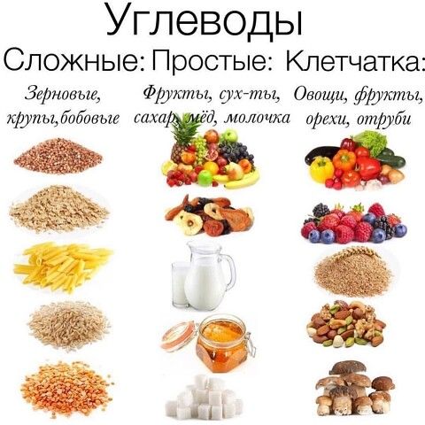 Разные виды углеводов